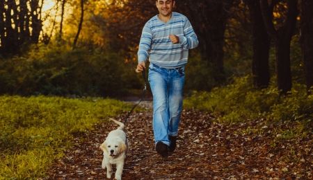 Rasa Golden Retriever na spacerze z właścicielem